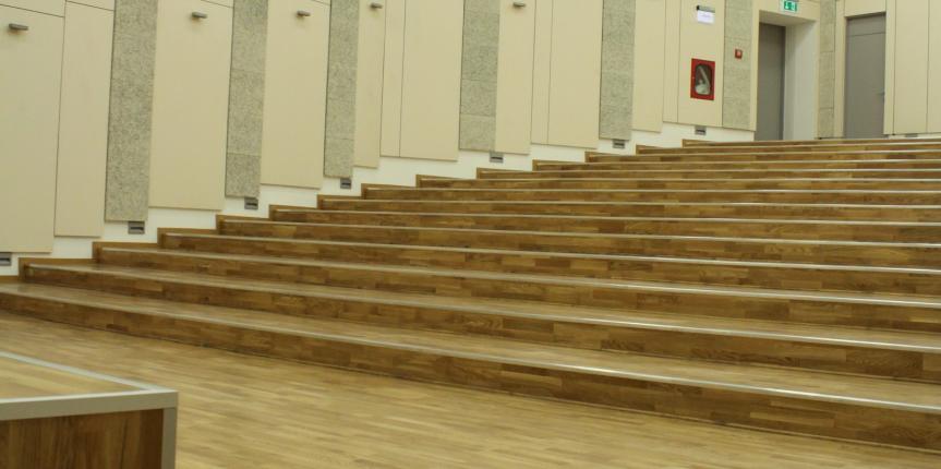 Amfiteatru – stejar stratificat